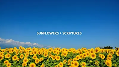 Sunflowers + Scriptures