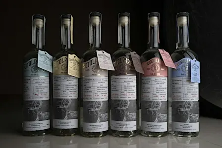 Parejo Sotol Spirit Society at Seven Grand Austin