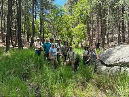 Erosion Control on North Slope of Catalinas (Sept. 25)