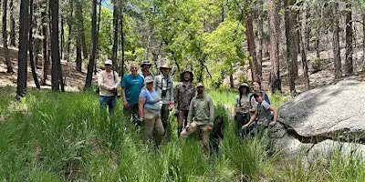 Erosion Control on North Slope of Catalinas (Sept. 25)