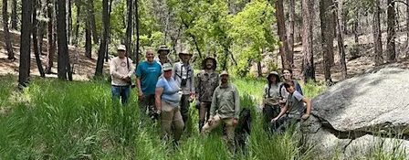 Erosion Control on North Slope of Catalinas (Sept. 25)