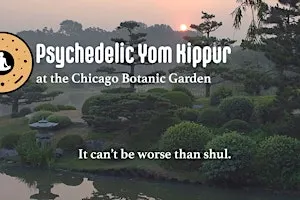 Psychedelic Yom Kippur at the Chicago Botanic Gardens