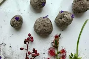 Atelier bombes à graines / Workshop zaadbommetjes