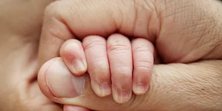 Liam Shields: Fostering Attachment