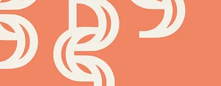 Discourse Series: 'Diversity in politics | The politics of diversity'
