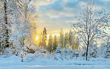 Preschool Nature Time | Winter is Coming!