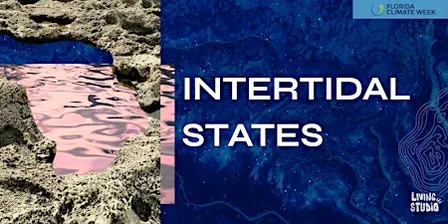 Intertidal States