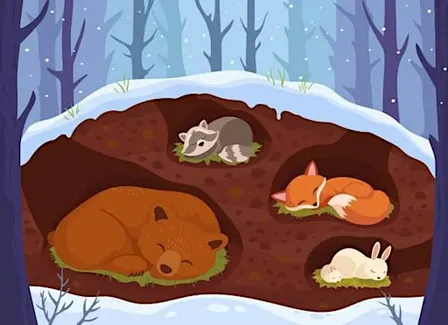Preschool Nature Time | Happy Hibernation!