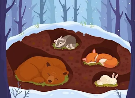 Preschool Nature Time | Happy Hibernation!