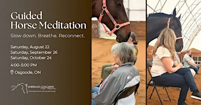 Horse Meditation