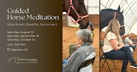 Horse Meditation