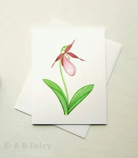 Botanical Illustration Holiday Card Workshop