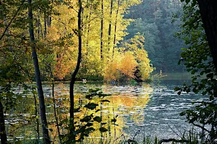 Schlaubetal: Brandenburg's Quality Hiking Route