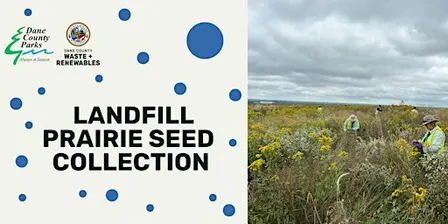 Dane County Landfill Prairie Seed Collection Event