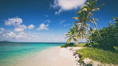 Caribbean Hors d’Oeuvres