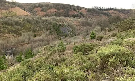 Blaenserchan Local Nature Reserve Recorders' Day