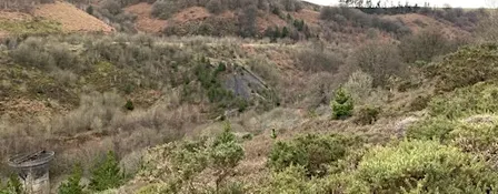 Blaenserchan Local Nature Reserve Recorders' Day