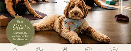 Pets of Jiaren: Yoga with Otto