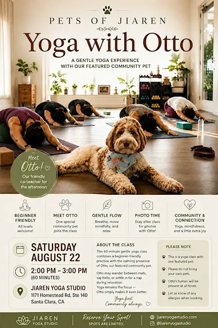 Pets of Jiaren: Yoga with Otto