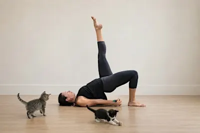 Purrs & Poses by Makin Biscuits Rescue