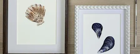 Shell Painting Watercolour Art  Workshop
