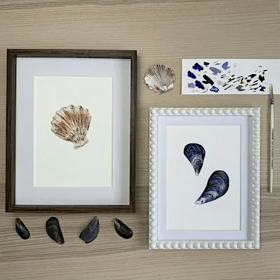 Shell Painting Watercolour Art  Workshop