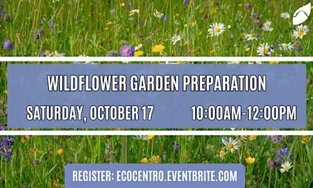 Wildflower Garden Preparation