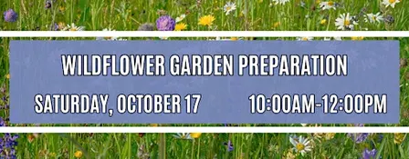 Wildflower Garden Preparation