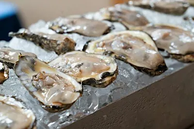 The Taste: Celebrate the Chesapeake in Maryland