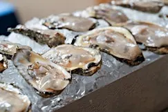 The Taste: Celebrate the Chesapeake in Maryland