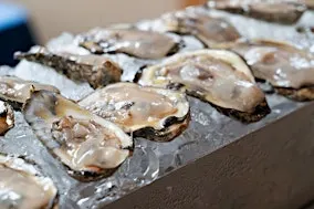 The Taste: Celebrate the Chesapeake in Maryland