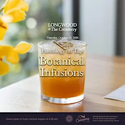 Plantology on Tap: Botanical Infusions