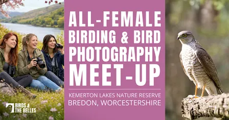 All-Female Birding & Bird Photography Morning