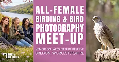 All-Female Birding & Bird Photography Morning