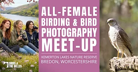All-Female Bird & Bird Photography Morning