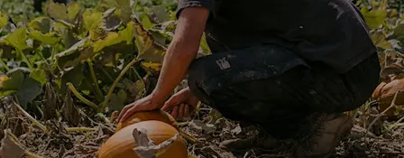 Autumn Equinox at My Little Farm