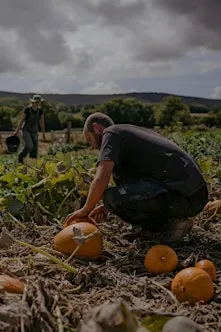 Autumn Equinox at My Little Farm