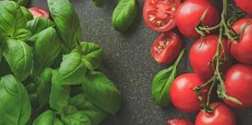 Garden Partners & Herb Allies - Growing Better Together