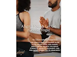 Align and Flow (gentle yoga)