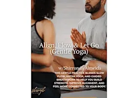 Align and Flow (gentle yoga)