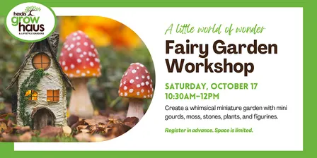 Fairy Garden Workshop