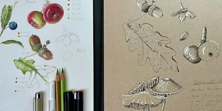 Botanical Sketchbook Workshop at Summer Leys (18th September)