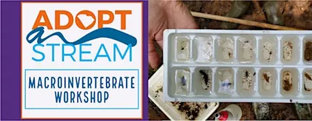 Adopt-A-Stream Workshop: Macroinvertebrate/Biological Monitoring