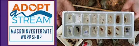 Adopt-A-Stream Workshop: Macroinvertebrate/Biological Monitoring