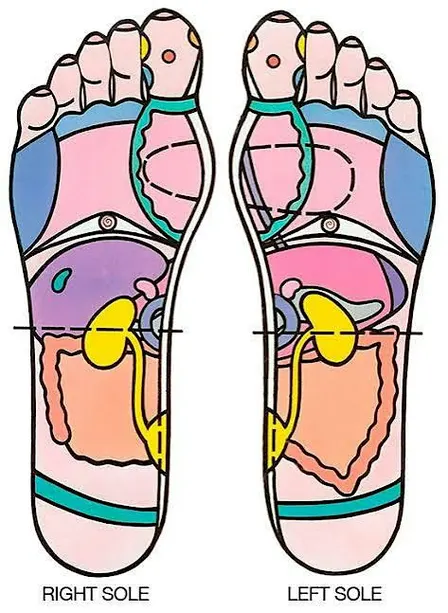Reflexology 101: Healing Power for Self-care