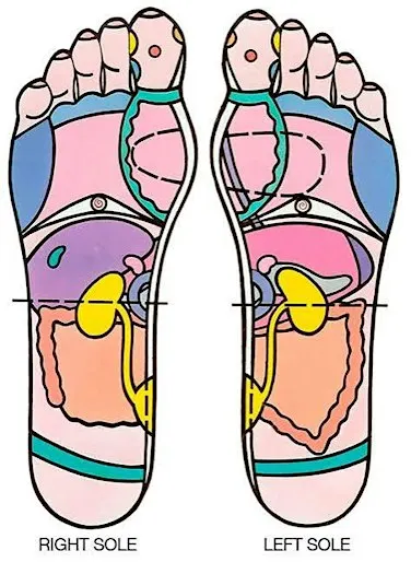 Reflexology 101: Healing Power for Self-care