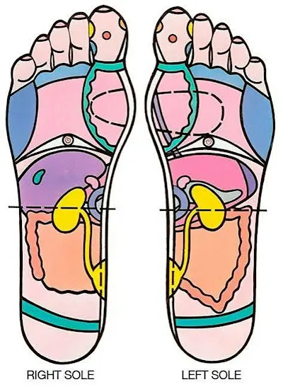 Reflexology 101: Healing Power for Self-care