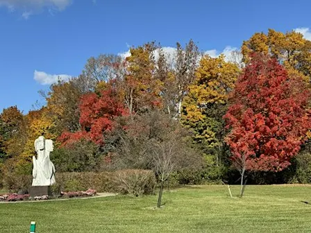 Fall Colors Workday at the Sugarbush