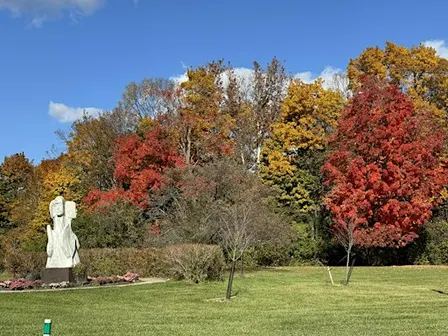 Fall Colors Workday at the Sugarbush