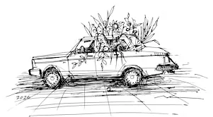 Pen & Ink Drawing Class